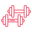 Lock-In Secure Dumbbell Loading